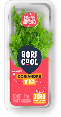 51a9a994-06e5-4d38-8414-474ce4ae36b2_PACKSHOT_CORIANDRE_V2