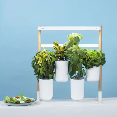 Produit-modulo_400x
