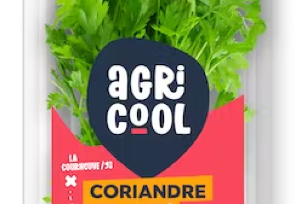 51a9a994-06e5-4d38-8414-474ce4ae36b2_PACKSHOT_CORIANDRE_V2